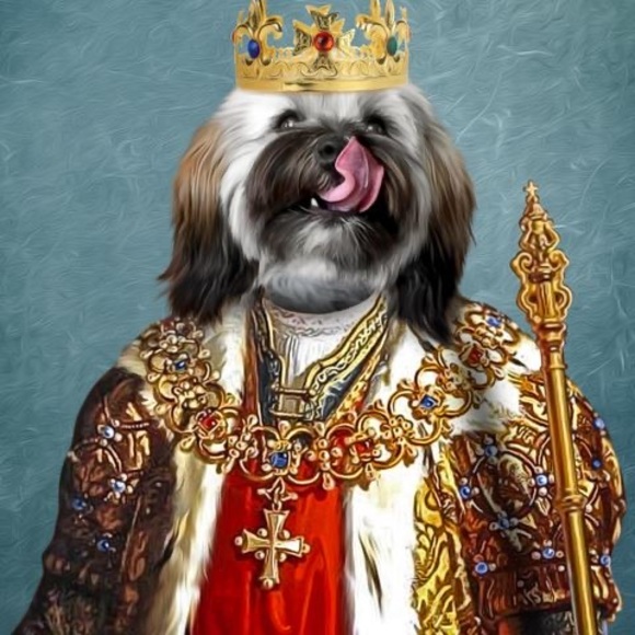 Meet your Posher, Perry - Picture 1 of 1